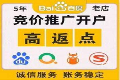 搜索引擎优化（SEM）在移动端的实践案例